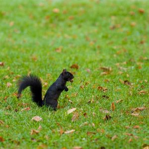 Image post by @stbonaventureuniversity on Instagram