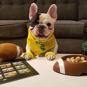 Image post by @animalplanet on Instagram