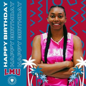 Image post by @lmulionswb on Instagram