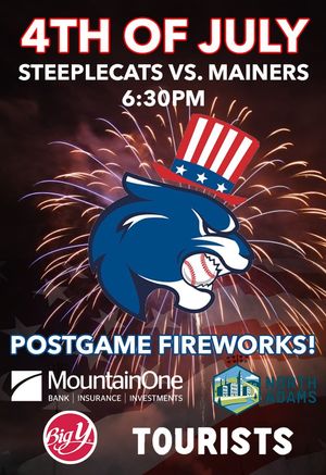 Image post by @SteepleCats on Twitter