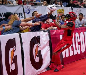 Image post by @jaxsharks on Instagram