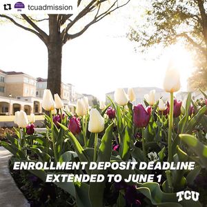 Image post by @texaschristianuniversity on Instagram