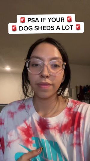 Video post by @lexdelag on TikTok