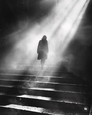 Image post by @fubiz on Instagram