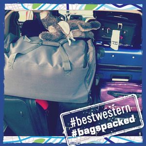 Image post by @bestwestern on Instagram