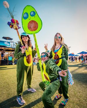 Image post by @northcoastfest on Instagram