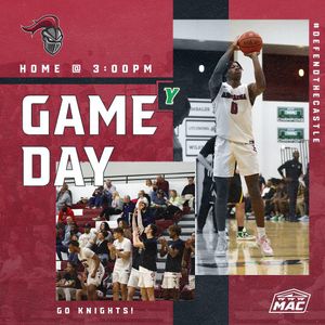 Image post by @arcadia_knights on Instagram