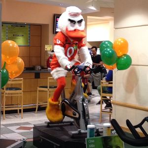 Image post by @u_cheer on Instagram