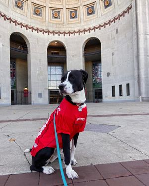 Image post by @theohiostatealumni on Instagram