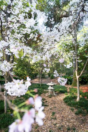 Image post by @kirstenalana on Twitter