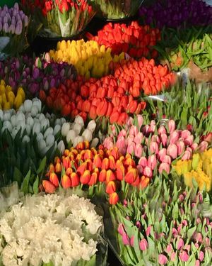 Image post by @litboutique on Instagram