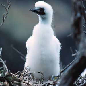 Image post by @discovery on Instagram