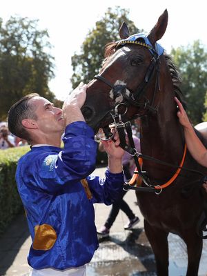 Video post by @worldhorseracing on TikTok