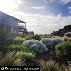 Image post by @glenelggolf on Instagram