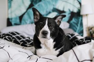 Image post by @zofeeagenota on Instagram