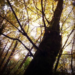 Image post by @hollysmee on Instagram