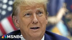 Video post by @msnbc on YouTube