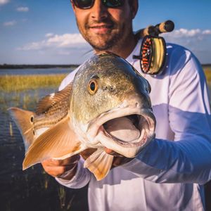 Image post by @toadfishoutfitters on Instagram