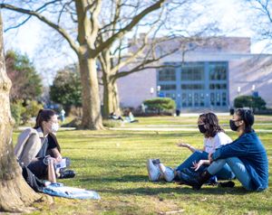 Image post by @hofstrau on Instagram