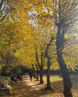 Image post by @soasuni on Instagram