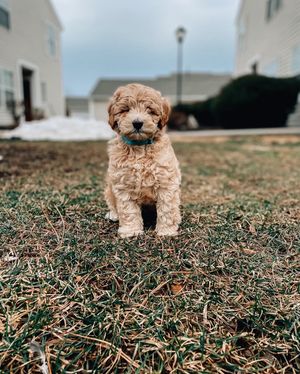 Image post by @ninamarie_creative on Instagram