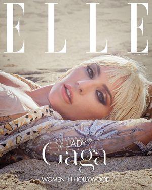 Image post by @ladygaga on Instagram
