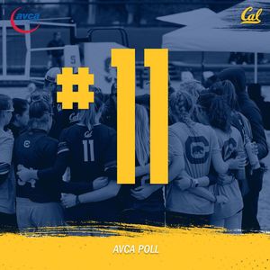 Image post by @calbeachvb on Instagram