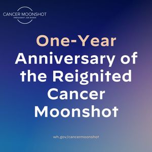 Image post by @WHOSTP on Twitter