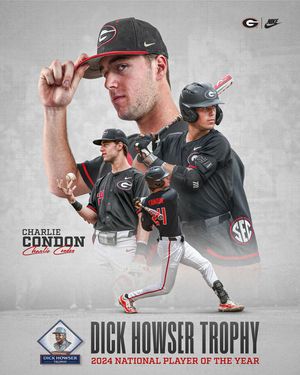 Image post by @baseballuga on Instagram