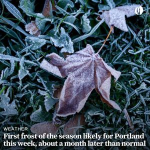 Image post by @theoregonian on Instagram