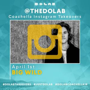 Image post by @bigwildmusic on Instagram