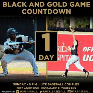 Image post by @ucf.baseball on Instagram