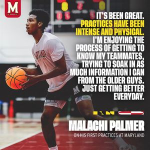 Image post by @terrapinhoops on Instagram