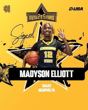 Image post by @ksuowlswbb on Instagram