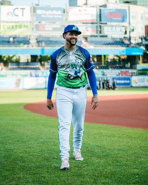 Image post by @hartfordyardgoats on Instagram