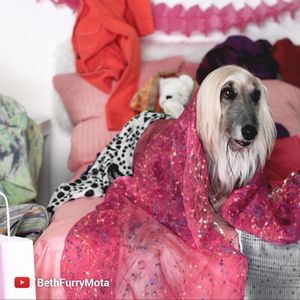 Image post by @youtube on Instagram