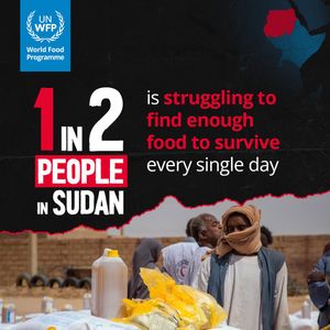 Image post by @unitednations on Instagram