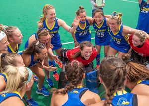 Image post by @udbluehens on Instagram