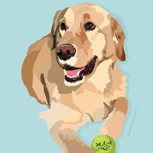 Image post by @katiedensondesigns on Instagram