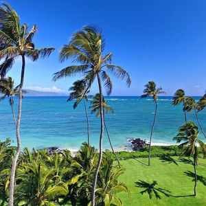 Image post by @olukai on Instagram