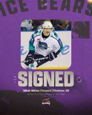 Image post by @knoxvilleicebears on Instagram