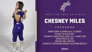 Image post by @valkyriessoftball on Instagram