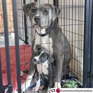 Image post by @ellendegeneres on Instagram