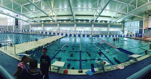 Image post by @ithacaswimdive on Instagram