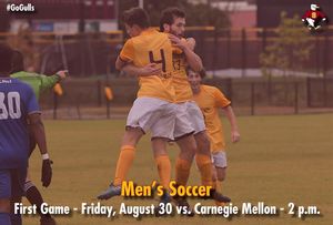 Image post by @suseagulls on Instagram