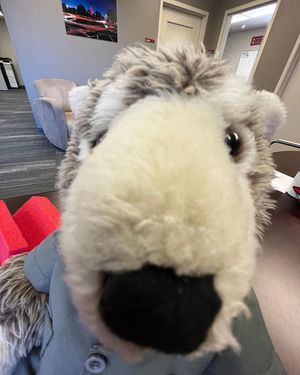 Image post by @ncstatecareerdevelopment on Instagram