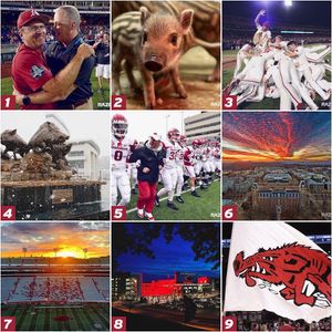 Image post by @arkrazorbacks on Instagram