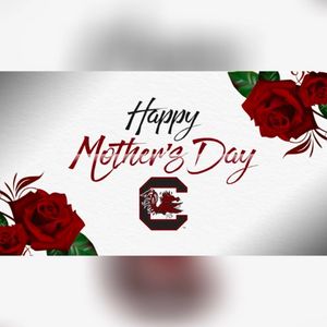 Image post by @gamecocksoftball on Instagram
