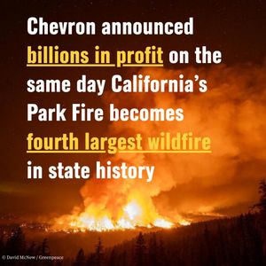 Image post by @greenpeaceusa on Instagram
