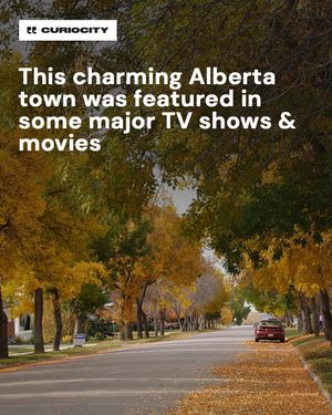Image post by @curiocitycalgary on Instagram